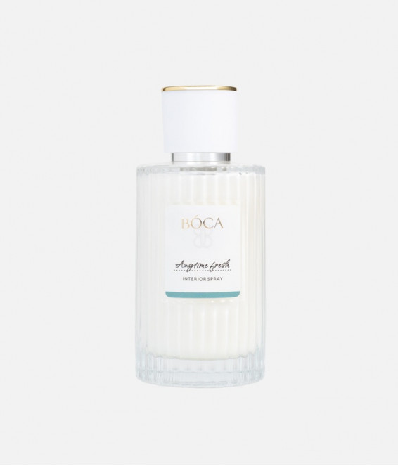Купить Интерьерный спрей ANYTIME FRESH 100 ml