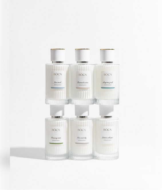 Купить Интерьерный спрей ANYTIME FRESH 100 ml
